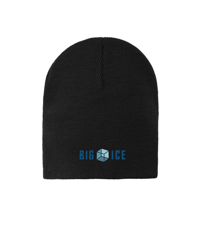 Big Ice Knit Skull Cap