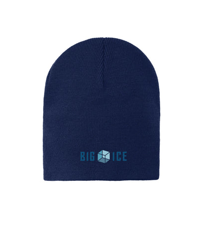 Big Ice Knit Skull Cap